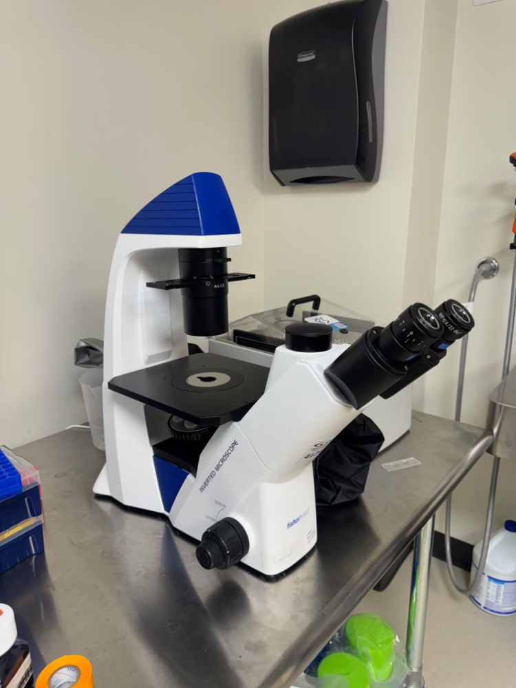 Image of Fisherbrand Inverted Microscope